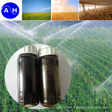 Amino Acide Liquide Engrais organique Agriculture organique
